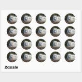 Sticker Rond Photo White Fox (Feuille)