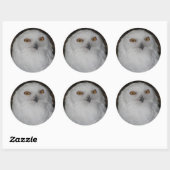 Sticker Rond Photo White Snowy Owl (Feuille)