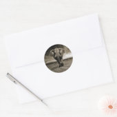 Sticker Rond Photo Wildlife Bull Elephant (Enveloppe)
