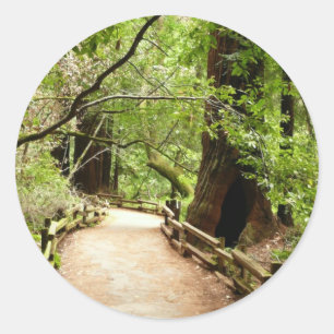Sticker Rond Photographie de la nature du chemin de Muir Woods