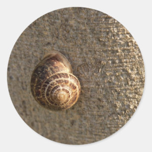 Sticker Rond Photographie de la nature d'un escargot de jardin
