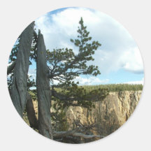 Photographie du parc national de Yellowstone