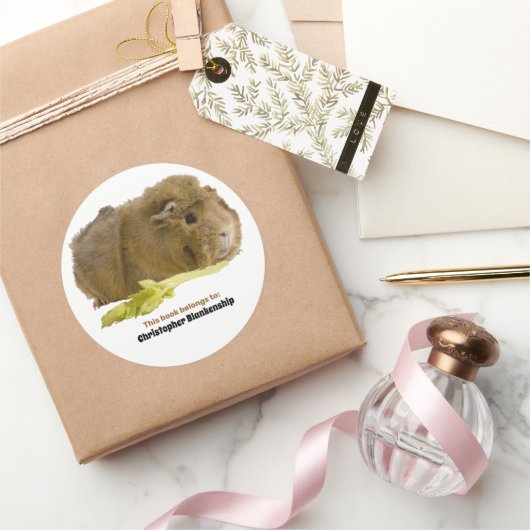 Sticker Rond Photographie d'un adorable cochon d'Inde mangeant (Cadeaux)