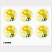 Sticker Rond Photographie florale Daffodile Jaune Nature Pic (Feuille)
