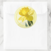 Sticker Rond Photographie florale Daffodile Jaune Nature Pic (Sac)