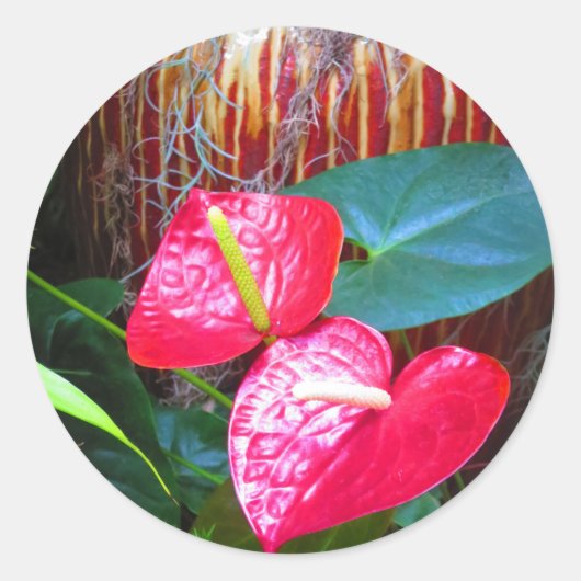 Sticker Rond Photos de fleurs de Longwood Gardens (Devant)