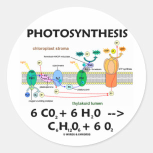 Sticker Rond Photosynthèse (anhydride carbonique + L'eau)