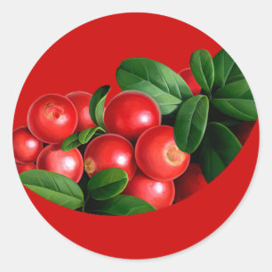 Sticker Rond pic_04
