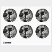 Sticker Rond Pick (Feuille)