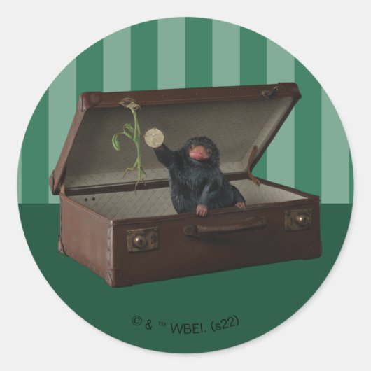 Sticker Rond Pickett & Teddy in Briefcase (Devant)