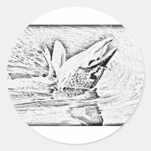 Sticker Rond Pie (Devant)