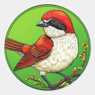 Sticker Rond Pie-grièche écorcheur 🦜 Art de la faune aviaire v