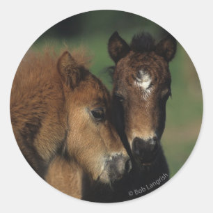 Sticker Rond Pieds miniatures 2