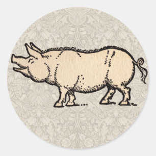 Sticker Rond Pig Antique Piggy Cute Illustration Vintage