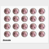 Sticker Rond Pig rose gros plan photo (Feuille)