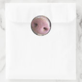 Sticker Rond Pig rose gros plan photo (Sac)