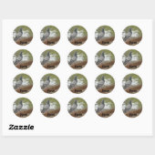 Sticker Rond Pigeon (Feuille)