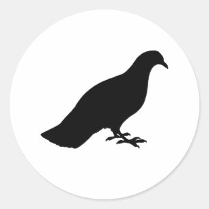 Sticker Rond Pigeon