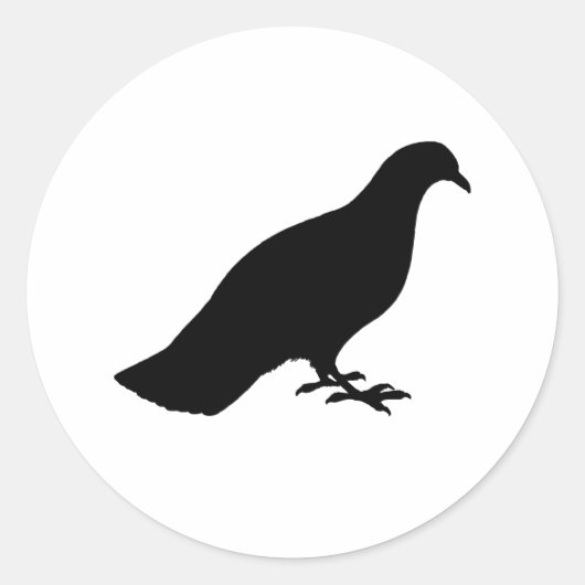 Sticker Rond Pigeon (Devant)