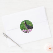 Sticker Rond Pigeon et maman (Enveloppe)