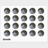 Sticker Rond Pigeon pacifique (Feuille)