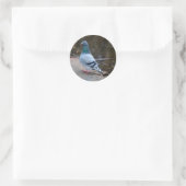 Sticker Rond Pigeon pacifique (Sac)