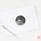 Sticker Rond Pigeon pacifique (Enveloppe)