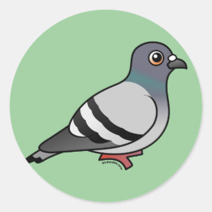 Sticker Rond Pigeon Rocher