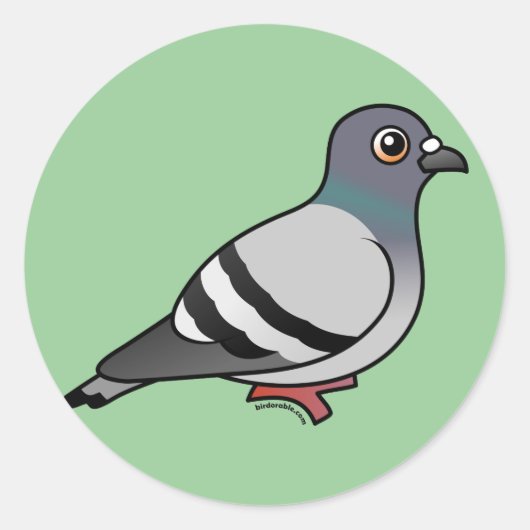 Sticker Rond Pigeon Rocher (Devant)
