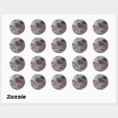 Sticker Rond Piglet mignon (Feuille)