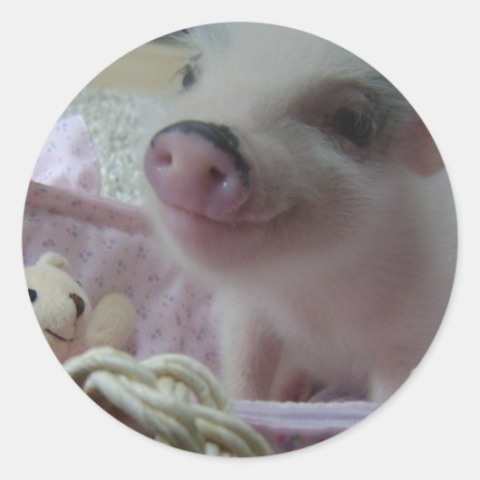 Sticker Rond Piglet mignon (Devant)