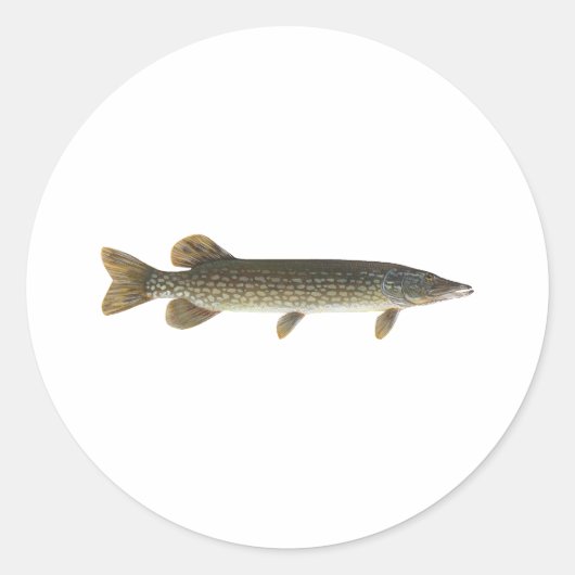 Sticker Rond Pike du Nord (Devant)