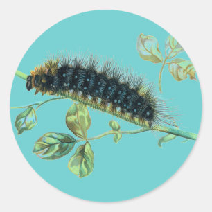 Sticker Rond Pilier d'Arctia