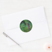Sticker Rond PIne Cone (Enveloppe)