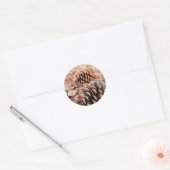 Sticker Rond Pinecones (Enveloppe)