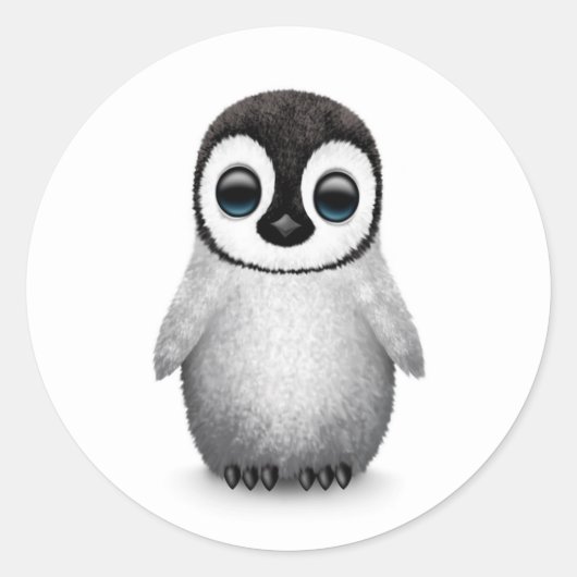 Sticker Rond Pingouin bébé mignon sur blanc (Devant)