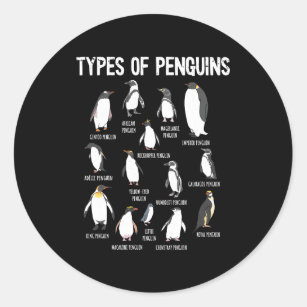 Sticker Rond Pingouins Du Monde Types De Pingouins