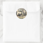 Sticker Rond Pingouins Humboldt (Sac)