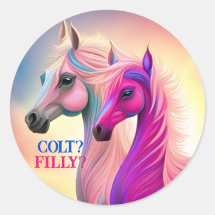 Sticker Rond Pink Filly & Colt Bleu Style occidental Révélation