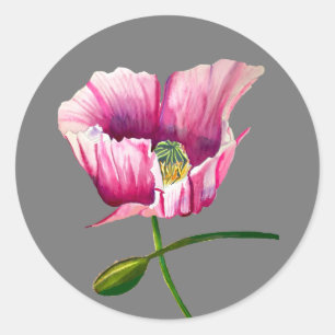 Sticker Rond Pink Pop aquarelle fleur joli art