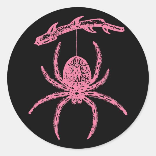 Sticker rond Pink Spider classique (Devant)