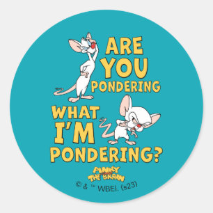 Sticker Rond Pinky et le cerveau   Vous Pensez ?