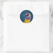 Sticker Rond Pinson de Gouldian (Sac)