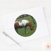 Sticker Rond Pinto (Enveloppe)