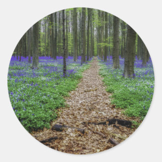 Sticker Rond Piste