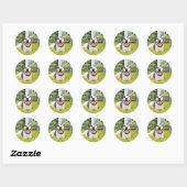 Sticker Rond Pit Bull T-Bone (Feuille)