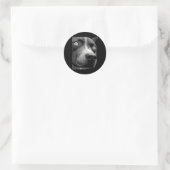 Sticker Rond Pitbull hypnotique yeux étranges weirdcore effraya (Sac)