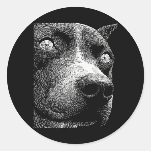Sticker Rond Pitbull hypnotique yeux étranges weirdcore effraya (Devant)