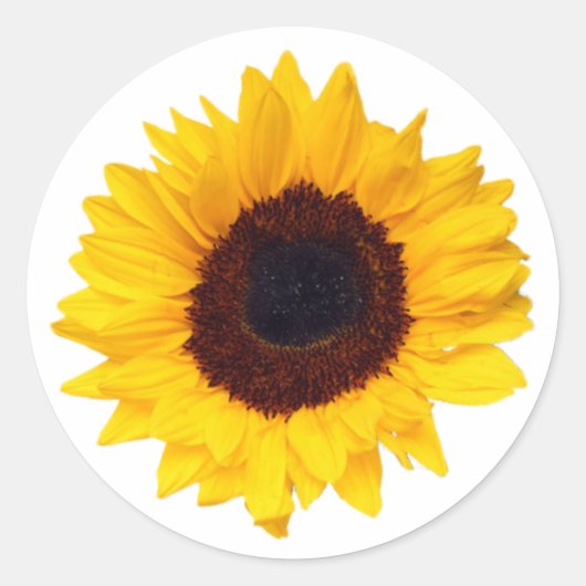 Sticker Rond PixDezine Sceller Enveloppe de tournesol jaune (Devant)