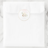 Sticker Rond PixDezines Ampersand+H2 Roses de crème rousse Dust (Sac)